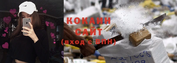 амф Богданович
