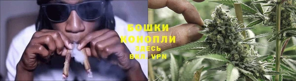 прущие крисы Балабаново