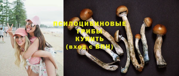 прущие крисы Балабаново
